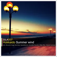 Summer Wind (Invisible Sounds Remix)
