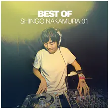 Holy Grail (Shingo Nakamura Remix) (Mixed)