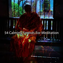 Meditate To Accommodate