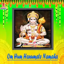 Om Han Hanumate Namo Namah (Mantra)