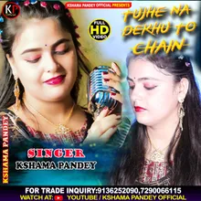 Tujhe Na Dekhu To Chain Hindi Cover Song