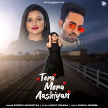 Tera Mera Aashiyan Original