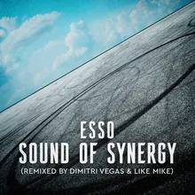 Sound of Synergy-Mixed by Dimitri Vegas & Like Mike