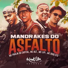 Mandrakes do Asfalto