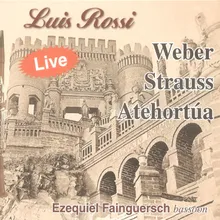 R.STRAUSS Duet Concertino for Clarinet , Bassoon and String Orchestra LIVE