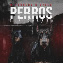 Perros Sin Correa