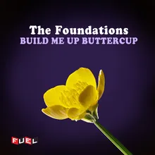 Build Me up Buttercup Re-Recorded