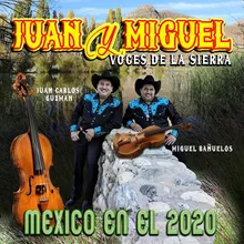 Mexico en el 2020 Violin y Tololoche