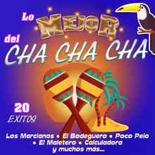 El Cha Cha Chá del Tránsito