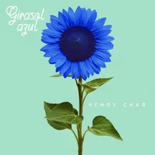 Girasol Azul