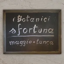 Sfortuna (feat. maggio & Tanca)