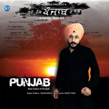 New Color Of Punjab