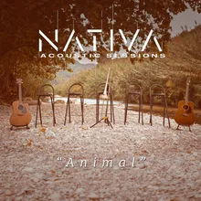 Animal Acústico