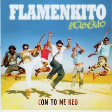 Mi Flamenco