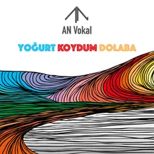 Yoğurt Koydum Dolaba