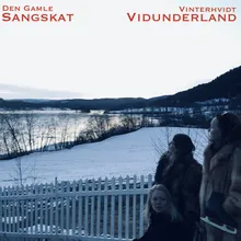 Et Vinterhvidt Vidunderland