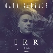 Gata Salvaje