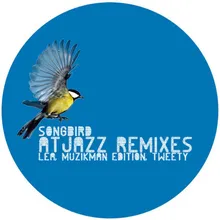 Songbird Atjazz Love Soul Remix Radio Edit