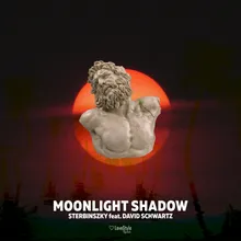 Moonlight Shadow Extended Mix