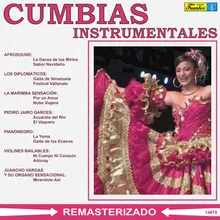 La Danza de los Mirlos Instrumental