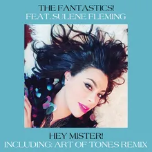 Hey Mister! Art of Tones Extended Remix