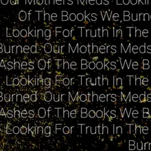 Looking For Truth In The Ashes Of The Books We Burned