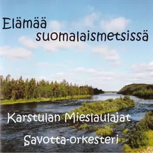 Metsähallituksen jätkä