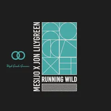 Running Wild (Rustem Rustem Remix) Radio Edit