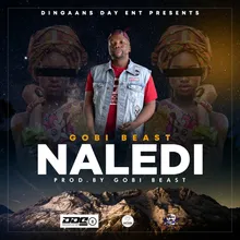 Naledi