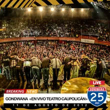 Could You Be Loved En Vivo En El Teatro Caupolicán