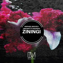 Ziningi