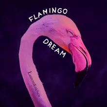 Flamingo Dance