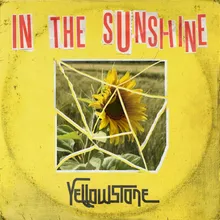 In the Sunshine