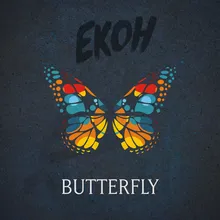 butterfly