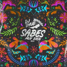 Sabes Muy Bien DJ Shub Remix