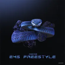 E45 FREESTYLE #1