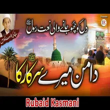 Nokar Sahaba Ka