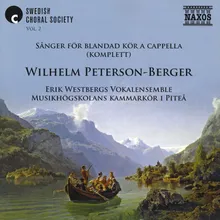 Åtta sånger, Op. 11: No. 4. På fjeldesti