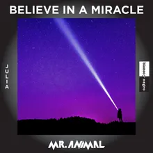 Believe in a Miracle