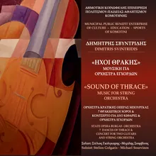Concert for 2 Guitars and String Orchestra: Andante Cantabile