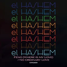 No Ordinary Love Pluto's Single Mix