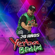 Murga Yerba Brava En Vivo