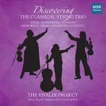 Trio ô Divertimento in C Major: II. Adagio