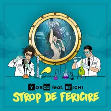 Strop de fericire Bite Your Lips Remix