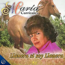 El Guayabo de Mi Vida