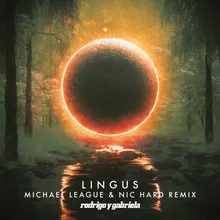 Lingus Michael League & Nic Hard Remix