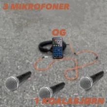 3 mikrofoner og 1 koalabjørn