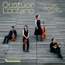 String Quartet No. 1 in D Minor: III. Vivace