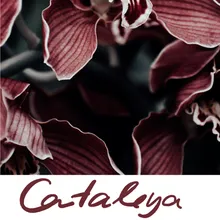 Cataleya