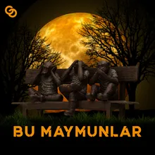 Bu Maymunlar